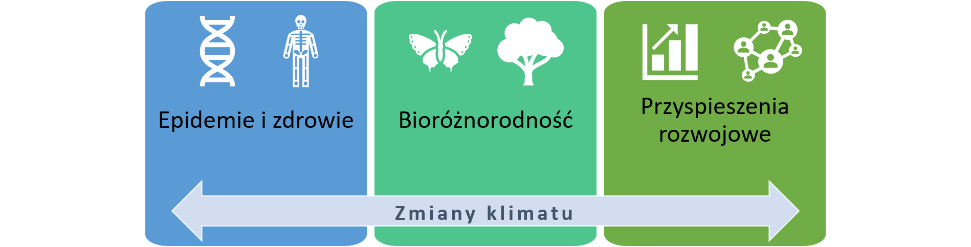 chart_homepage_PL.png